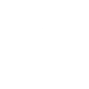 Main Logo_white