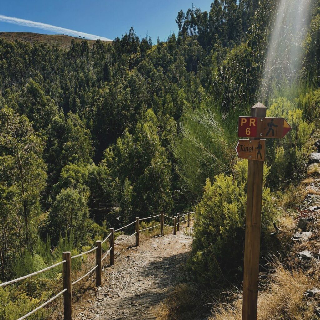 PR6 Postman's Path trail in Rio de Frades, Arouca Geopark
